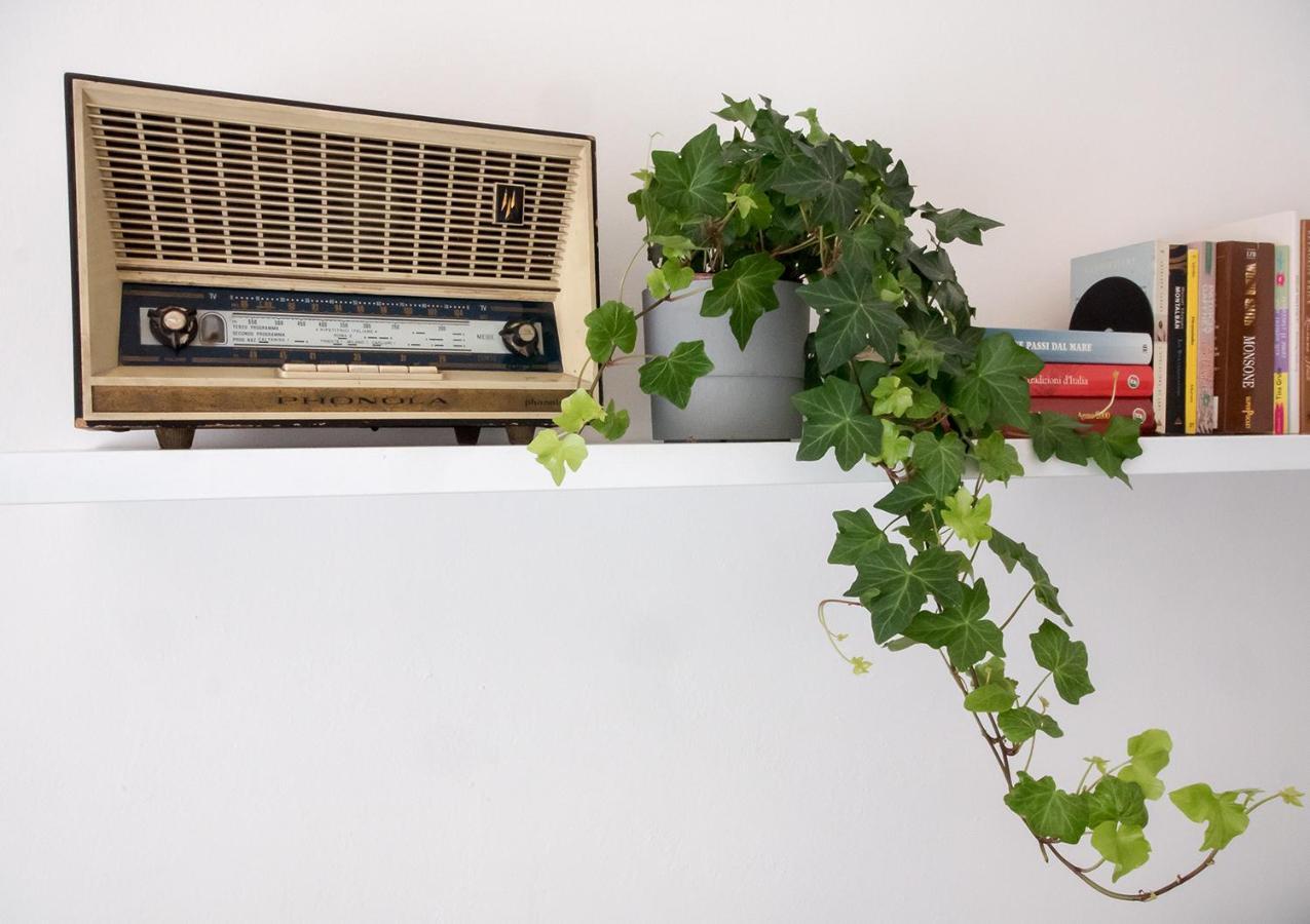 Apt Luminoso, Spazioso Con Aria Condiz E Bici 维亚雷焦 外观 照片